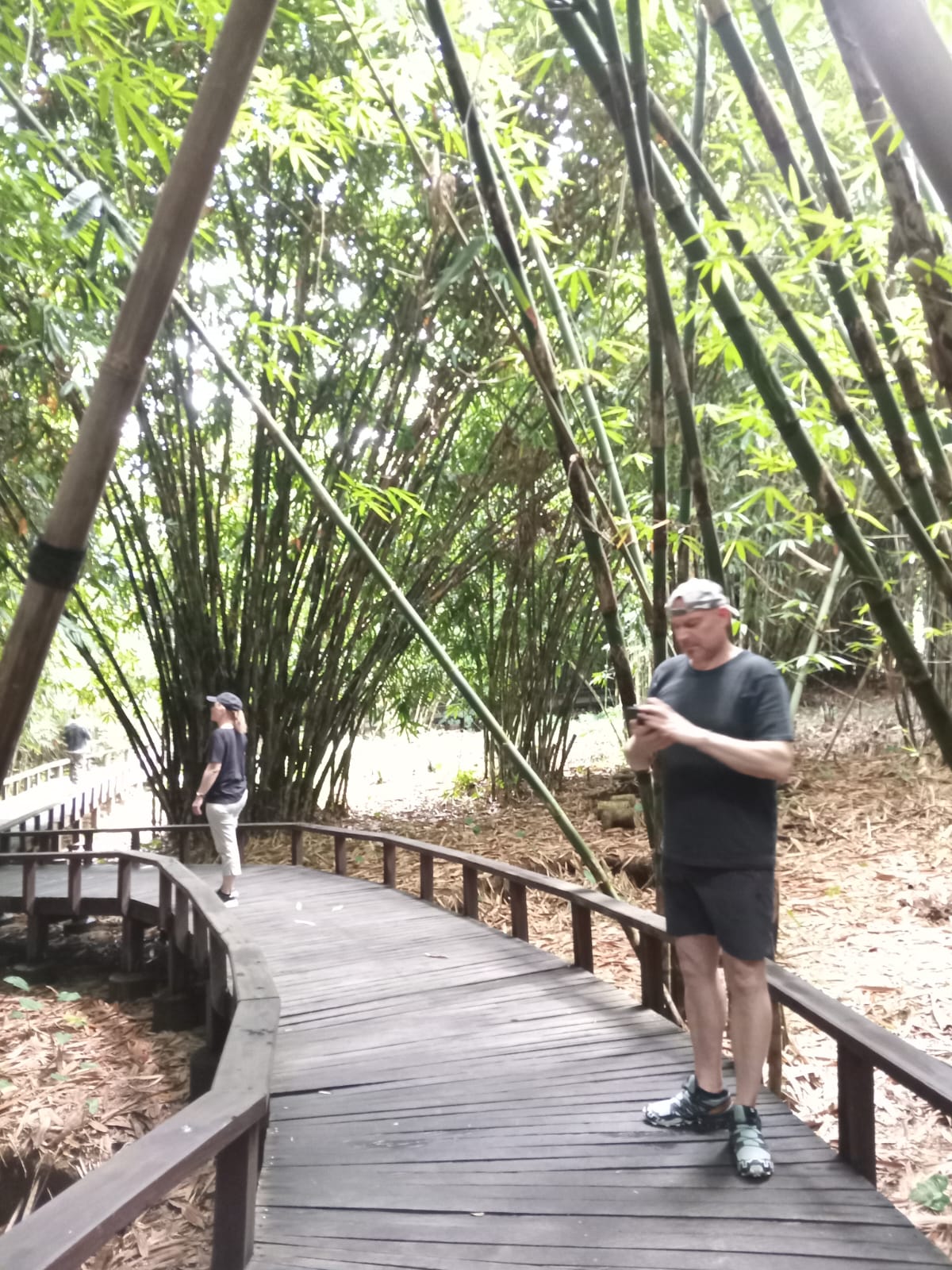 Bamboo Private Trip