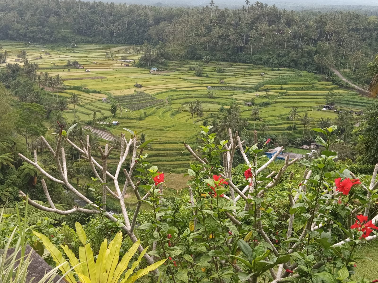 Memorable Bali Trip