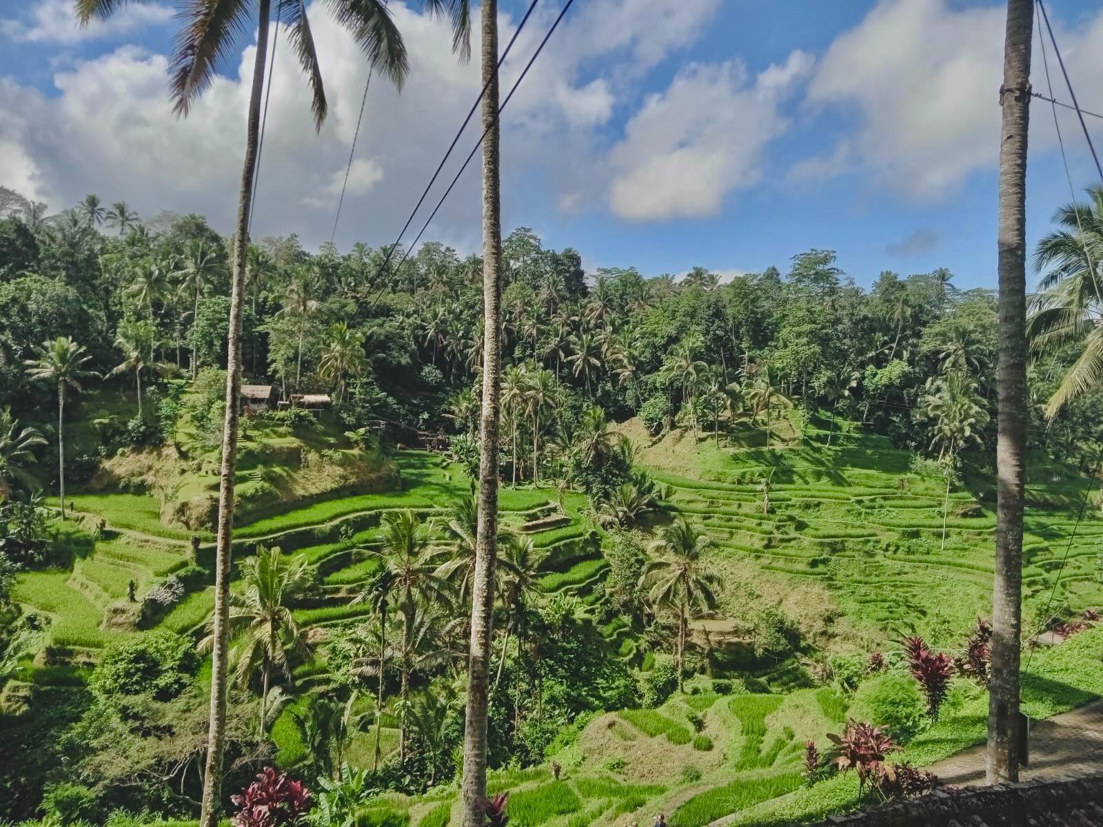 Kultur, Geschichte und das authentische Bali